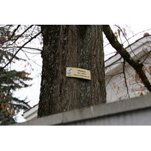 2019-03-02_13-44-44