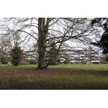 2019-03-02_12-01-55