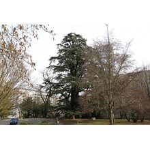 2019-03-02_11-06-12