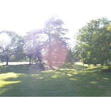 2010-06-05_16-35-49