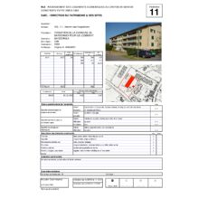 Dps_11