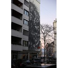IMG_4763