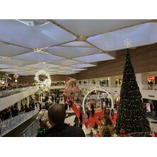 IMG_7081