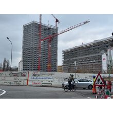 IMG_6934