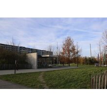 IMG_4695