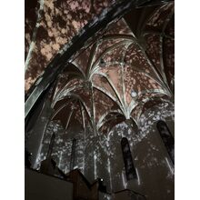 IMG_6625