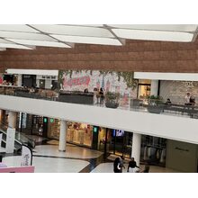 IMG_3321