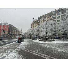 IMG_1026