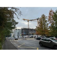 IMG_0556