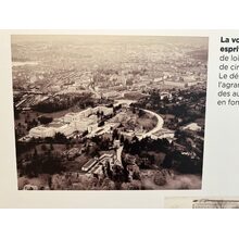 IMG_0454