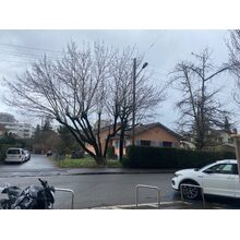 IMG_1057