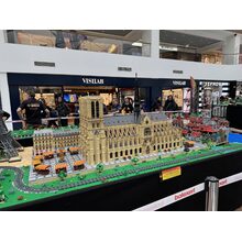 IMG_8310