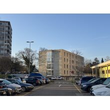 IMG_8233