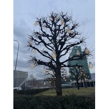 IMG_8077