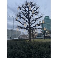 IMG_8076