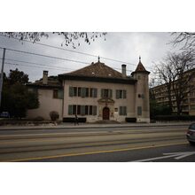 IMG_0181