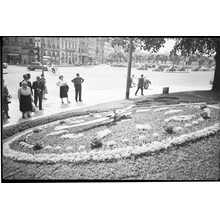 1955_1