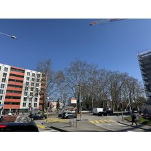 IMG_8424