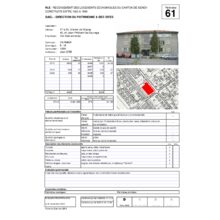 Dps_61