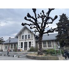 IMG_8555