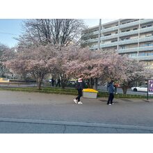 IMG_8614