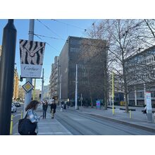 IMG_8610