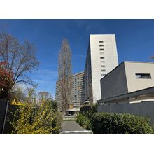 IMG_8568