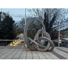 IMG_8516