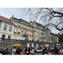 IMG_8478