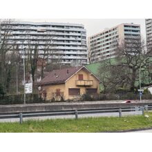 IMG_8457
