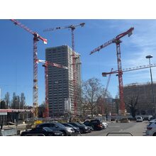 IMG_8447