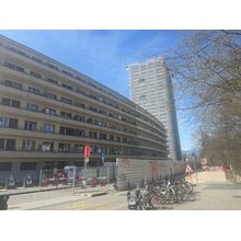 IMG_8439