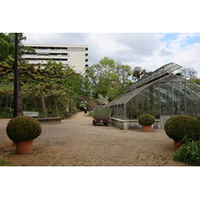 IMG_0253