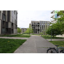 IMG_0317