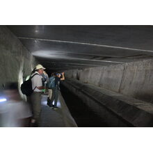 Genève-Canal de l'aire-2011JDP-14