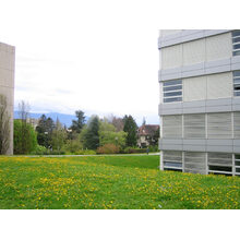 Genève-Collège André Chavanne-13