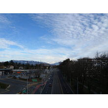 2010-02-21_16-12-39