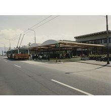 2010-03-18_19-45-12