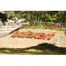 2010-09-09_13-30-21