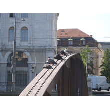 2009-08-06_10-14-21