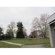 2012-11-19_13-02-50