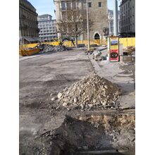 IMG_6256