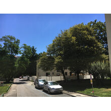 2017-07-05_13-17-07 1