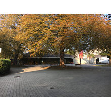 2017-11-19_09-51-10
