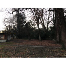 2019-01-01_14-47-32