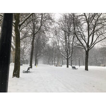 2019-01-01_14-48-21