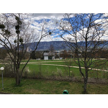 2019-01-01_14-50-13