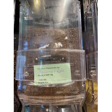 2021-06-11_18-50-28