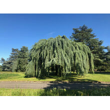 2019-05-31_18-15-20