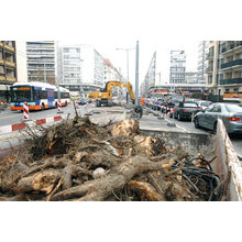 20060208_TCMC_GCh339622